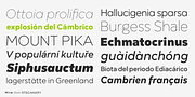 Mirai, a Sans Serif Font by GT&CANARY (Thumbnail 2 of 7)
