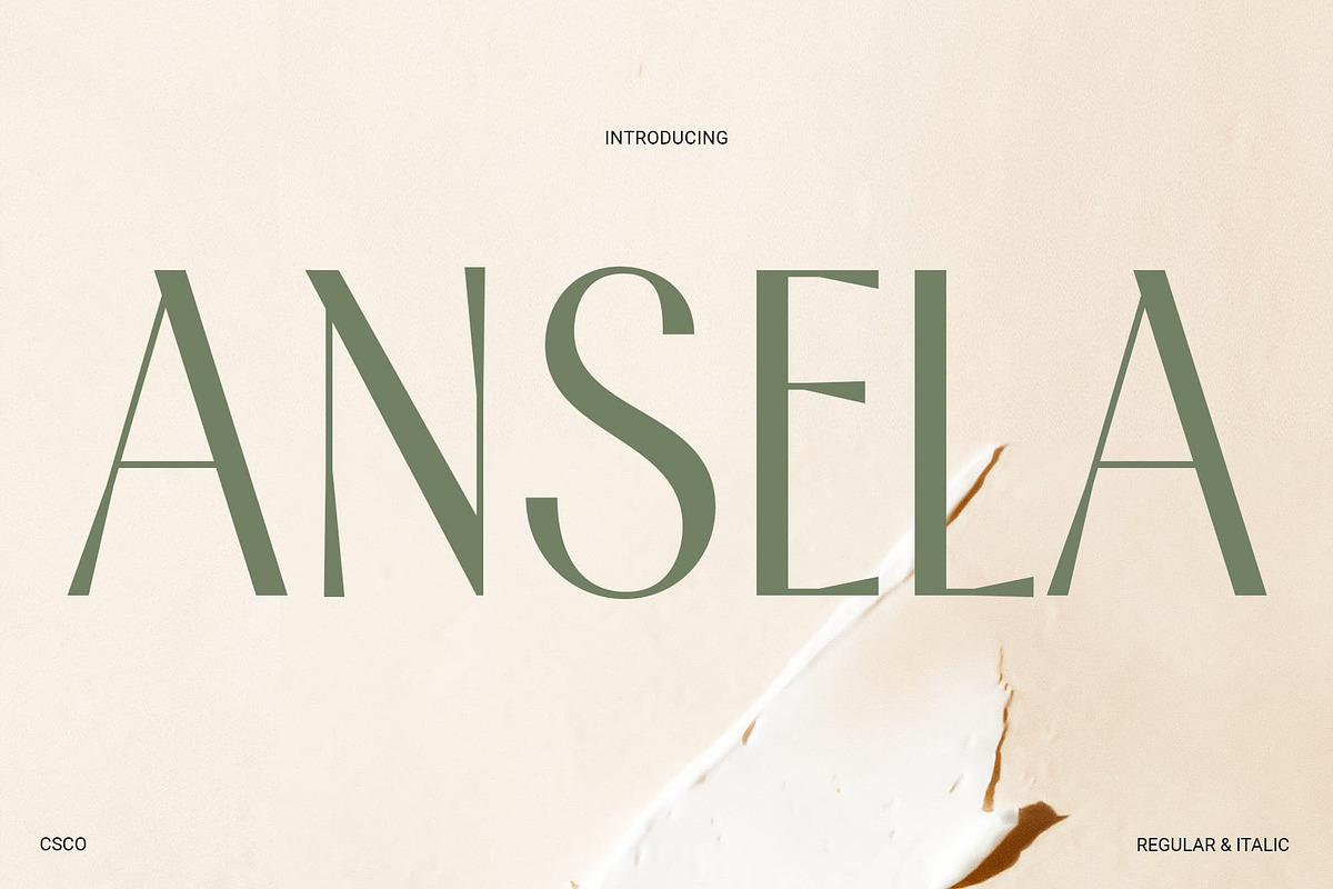 Ansela – Elegant Sans, a Sans Serif Font by Craft Supply Co. (Photo 1 of 8)