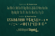 The Lingke - Modern Serif Font, a Serif Font by Afkari Studio (Thumbnail 2 of 14)