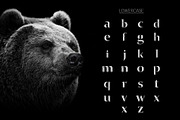 Invictus - Serif Typeface, a Sans Serif Font by Graphicado (Thumbnail 5 of 13)