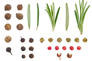 Fresh green rosemary sprigs and dry multi-colored peppercorns, a Food & Drink Photo by ndanko