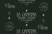 Le Petite Muse Vintage Ligature Font, a Serif Font by AndrewPixelType (Thumbnail 4 of 11)
