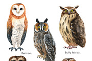 OWLS-watercolor illustrations, an Animal Illustration by KatBranchArt (Thumbnail 2 of 5)