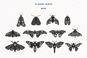 Mystic Moth | Vector collection, a Decorative Illustration by katieromanoff_art (Thumbnail 5 of 22)