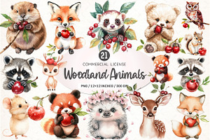 Adorable Woodland Animals PNG, an Illustration by SinaCreation