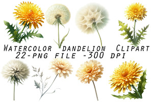 Watercolor Dandelion Clipart, an Illustration by Designworld