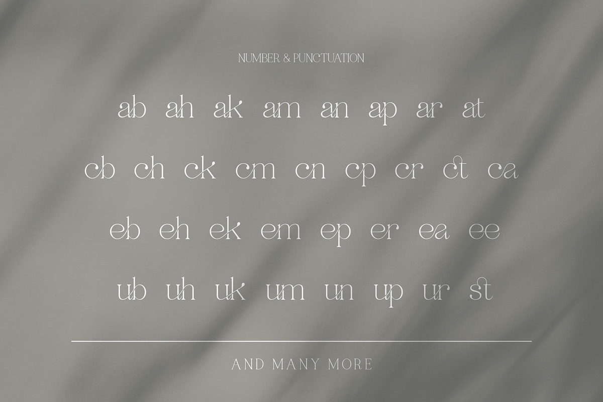 Ragille MODERN LIGATUR TYPFACE, a Serif Font by BOOSH Studio (Photo 10 of 12)