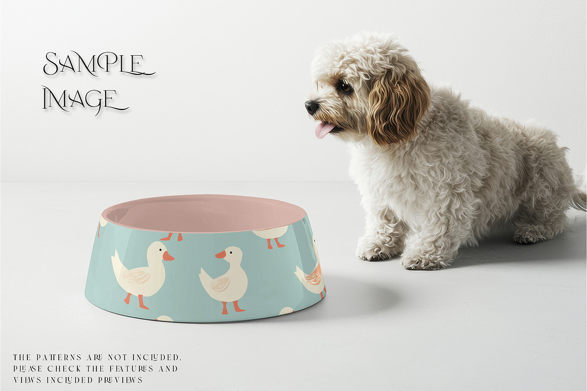 Pet Bowls PNG & PSD Mockups, a Product Mockup by mock-ups (Photo 4 of 14)