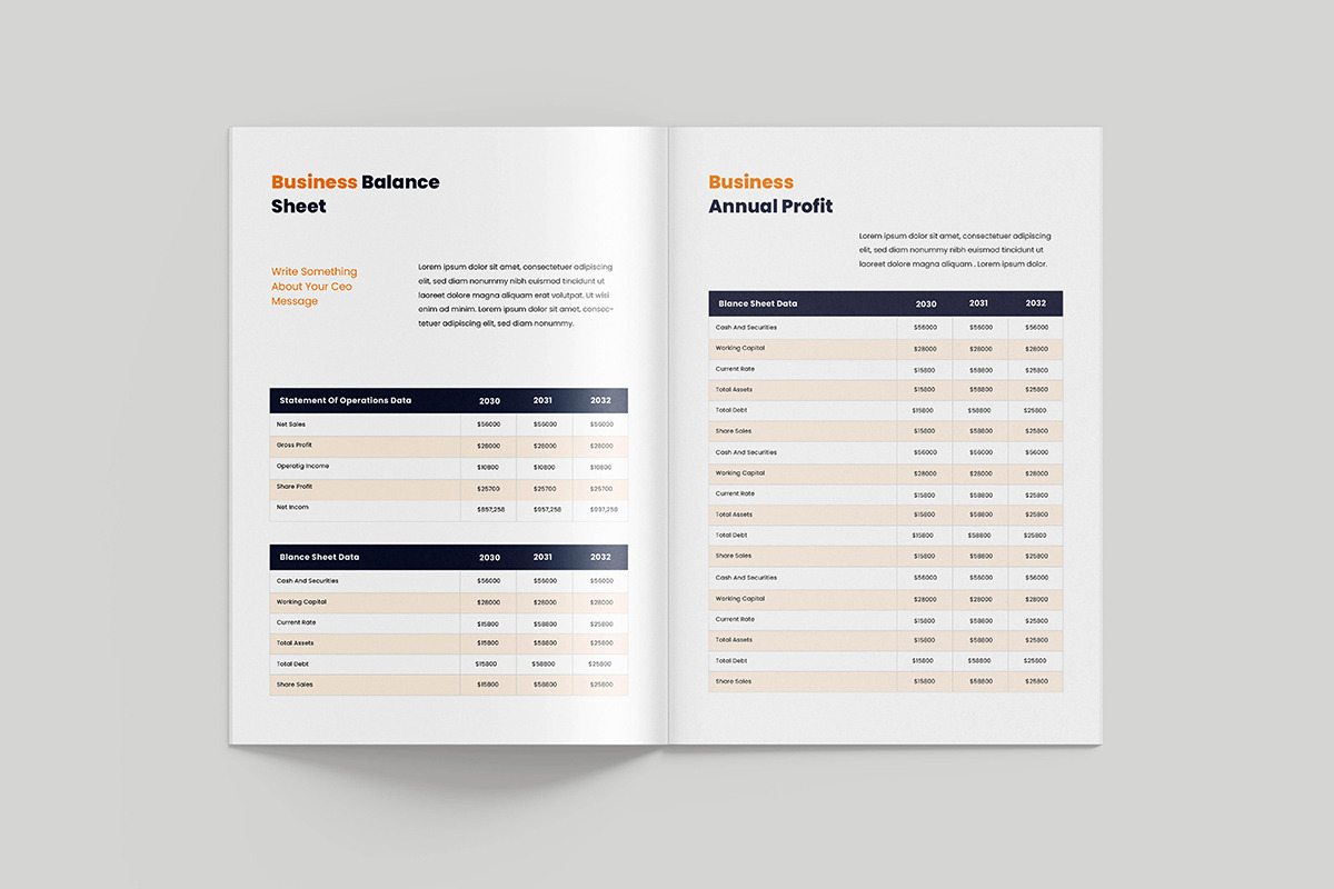 Annual Report Template, a Brochure Template by afsar.hossain (Photo 6 of 6)