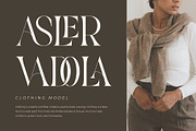 Vannesa - Classy Serif Font, a Serif Font by Aqeel_Art (Thumbnail 3 of 9)