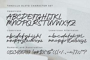 Tanzilla Olstd - Handlettered