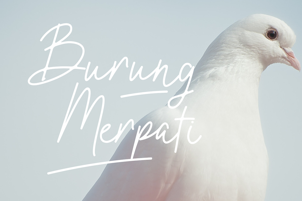 Oxlade Script Font preview 3