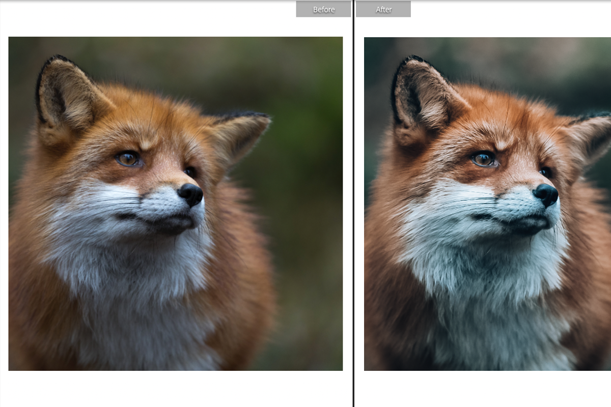 FURRY FRIENDS MOBILE PRESET, a Preset Add-On by Fltrr Lightroom Presets (Photo 3 of 8)