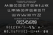 Enter Text, a Sans Serif Font by FreshTypeINK (Thumbnail 3 of 8)