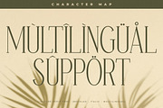 Basramle Ligature Serif Font, a Serif Font by Storytype Studio (Thumbnail 12 of 15)
