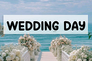 Sans Beach, a Script Font by FreshTypeINK (Thumbnail 6 of 8)
