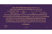 Rigot Font, a Font by Foda Foundry (Thumbnail 9 of 9)