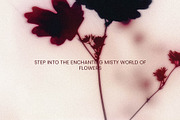 Foggy Flower Collection, a Background Graphic by nkate (Thumbnail 5 of 11)
