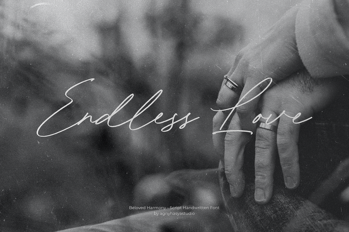 Beloved Harmony - Elegant Script Fon, a Handwritten Font by agnyhasyastudio (Photo 11 of 14)