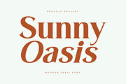 Sunny Oasis Modern Serif font, a Serif Font by Letterena Studios (Thumbnail 1 of 15)