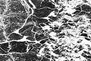 Frenzy Vol 2, a Texture Graphic by Jennifer Lauren Creative (Thumbnail 11 of 16)