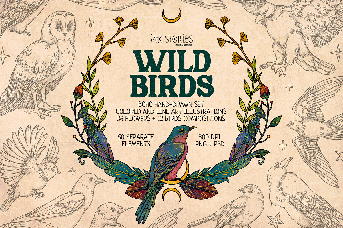 Wild Birds, an Animal Illustration by Ink Stories (Photo 1 of 20)