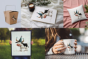 Quirky Animals Mega Bundle, an Animal Illustration by PaintPixelCo (Thumbnail 3 of 15)