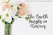 The 8 Fonts Bundle, a Script Font by Jordyn Alison Designs (Thumbnail 3 of 17)