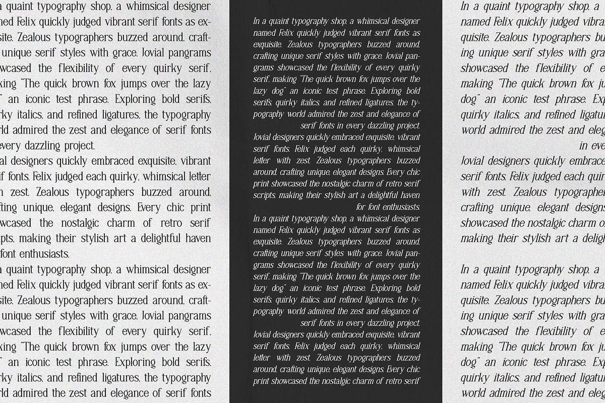 Adigul | Modern Serif, a Serif Font by Denustudios (Photo 9 of 13)