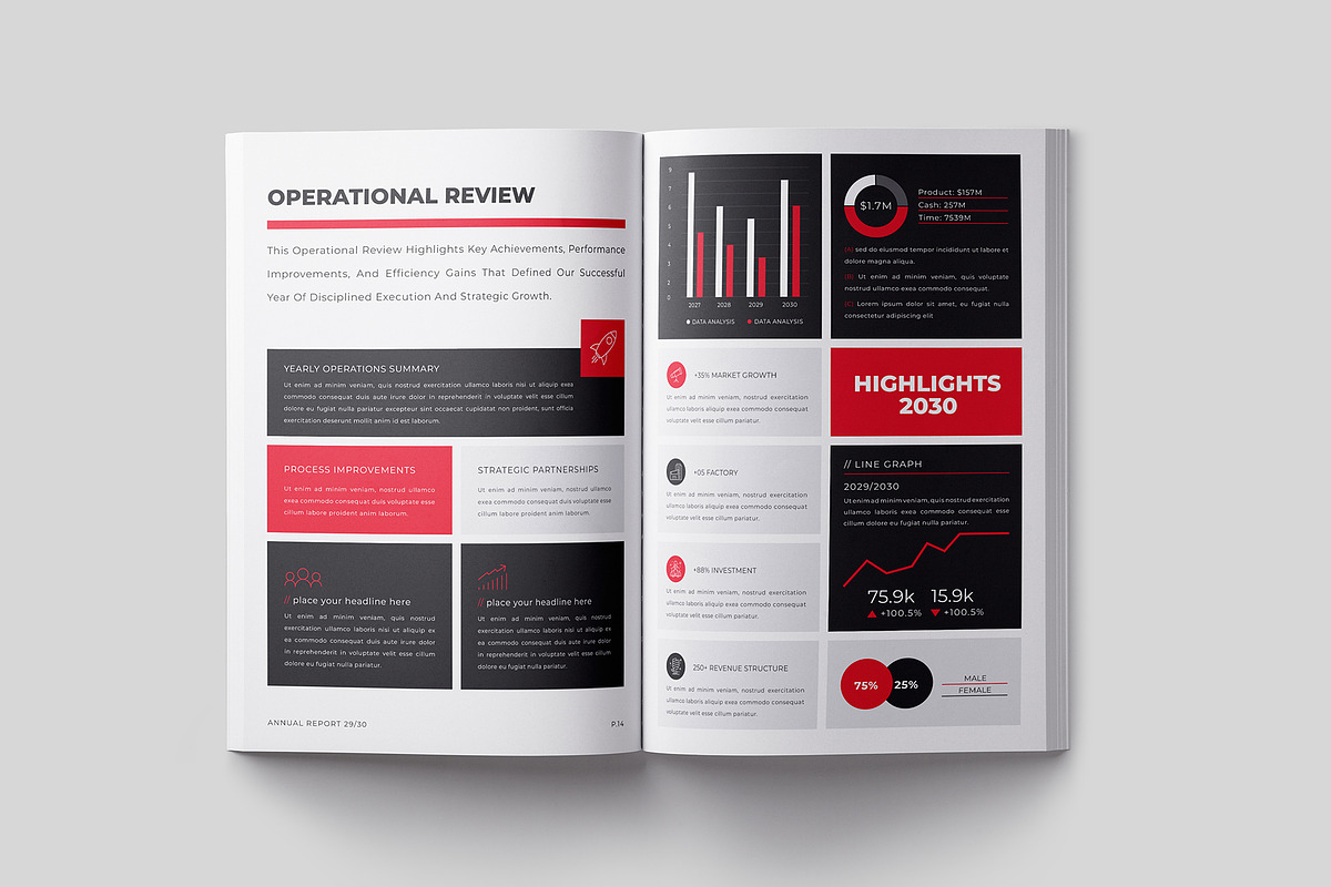 Annual Report Template, a Brochure Template by Designsoul14 (Photo 10 of 15)
