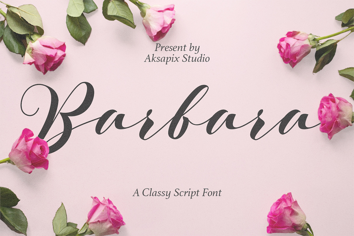 Barbara - A Classy Script Font, a Script Font by Aksapix Studio (Photo 1 of 11)