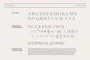 Bavaria Gates Font Family (Updated), a Serif Font by Nathatype (Thumbnail 9 of 10)
