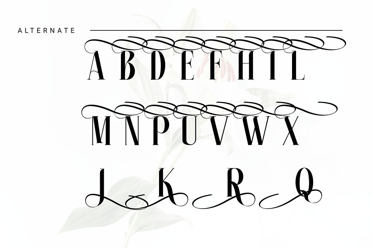 white over font serif, a Serif Font by azdaffstudio (Photo 10 of 14)
