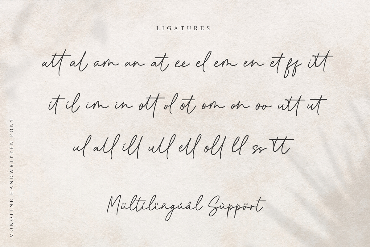 Purely Woman - Monoline Font, a Script Font by Sronstudio (Photo 14 of 15)