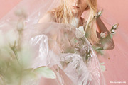 FLORA.PNG | Blurry Flower Collage, an Object Graphic by ana & yvy (Thumbnail 7 of 23)