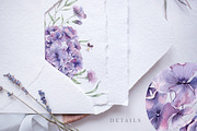 Charming purple pansies, hydrangea, an Illustration by astelenadesign (Thumbnail 12 of 12)