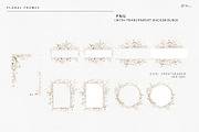 Gypsophila - watercolor flowers, an Object Illustration by ollalya (Thumbnail 5 of 8)