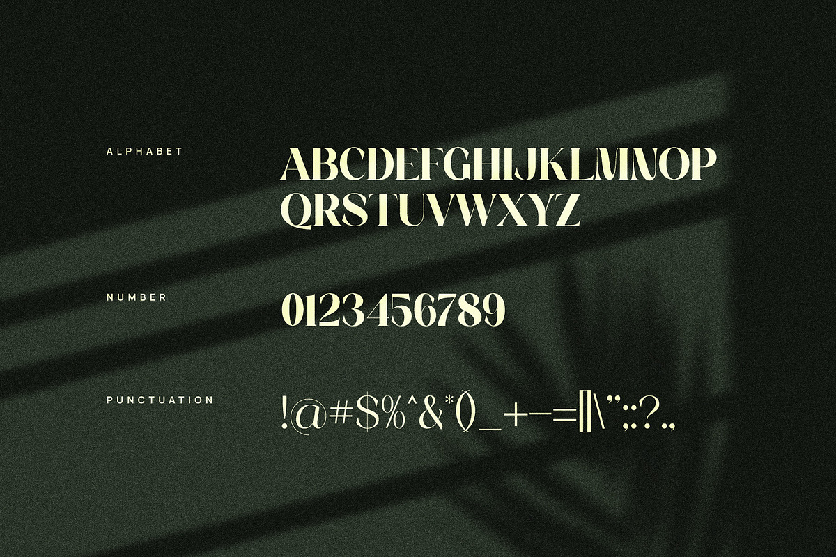 Nampy Elegant Serif Font, a Serif Font by Graphicxell (Photo 10 of 10)