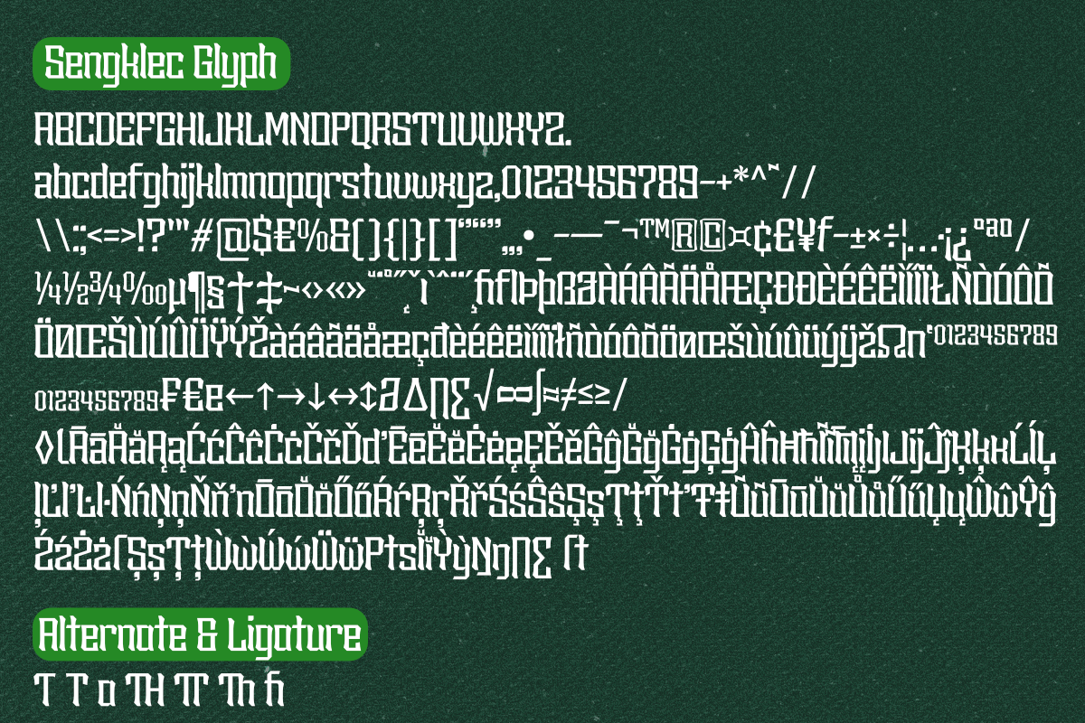 Sengklec - Display Family Font, a Serif Font by Differentialtype (Photo 12 of 12)