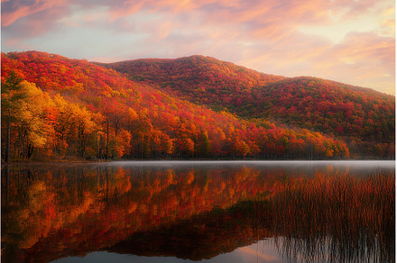 peaceful view of forested hillside, a Nature Photo by Lermont51