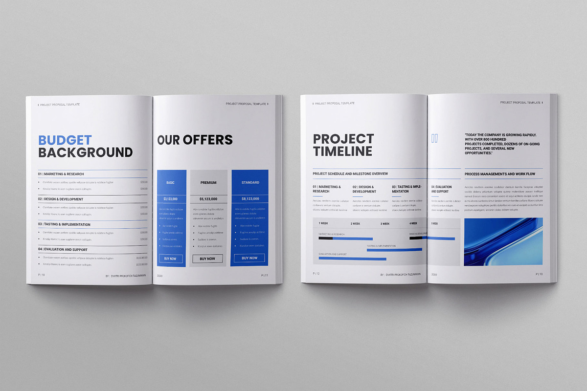 Project Proposal Template | Canva, a Brochure Template by ElvinPrint (Photo 6 of 9)