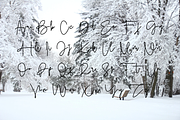 Sung-Jin font, a Script Font by TNE Designs (Thumbnail 2 of 5)