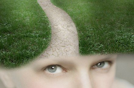 Dreamland Stock Photo Containing Peacock And Fantasy preview 5