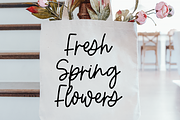 AUTUMN FARMHOUSE FONT BUNDLE, a Font by Blush Font Co. (Thumbnail 6 of 31)