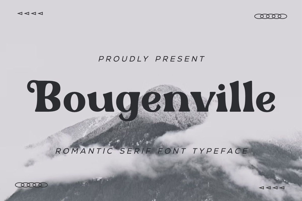 BOUGENVILLE, a Sans Serif Font by elevencreateam (Photo 1 of 9)