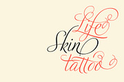 Adios Script, a Script Font by Sudtipos (Thumbnail 3 of 7)