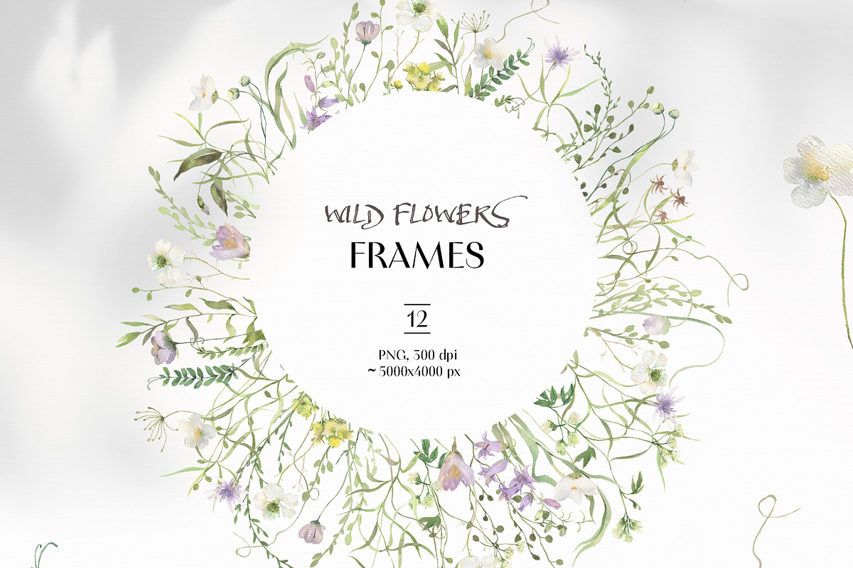 FIELD SYMPHONY- Flowers Collection, a Decorative Illustration by Les Frolova (Photo 5 of 18)