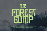 Pluck Font, a Font by Grontype (Thumbnail 6 of 12)