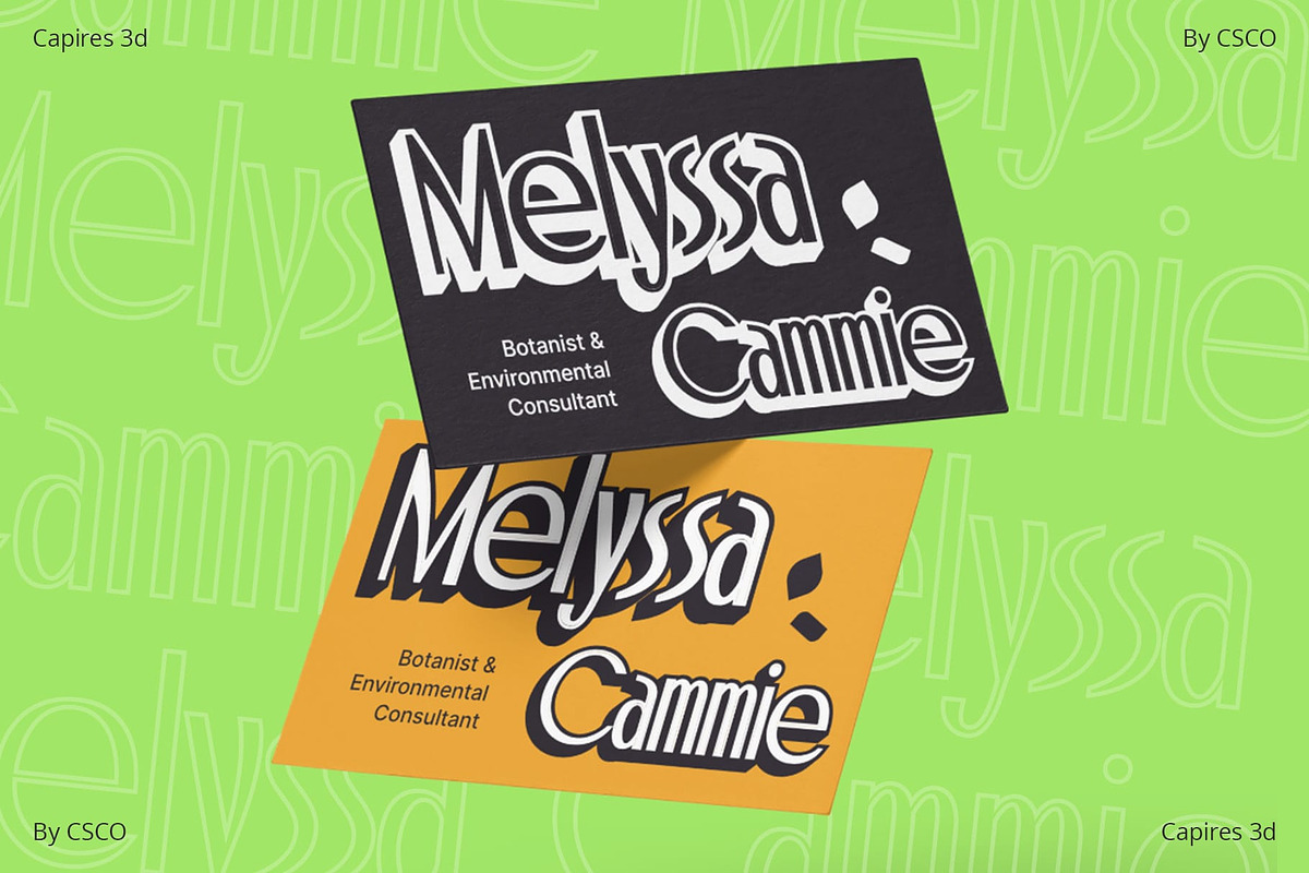 Capires 3D, a Sans Serif Font by Craft Supply Co. (Photo 6 of 8)