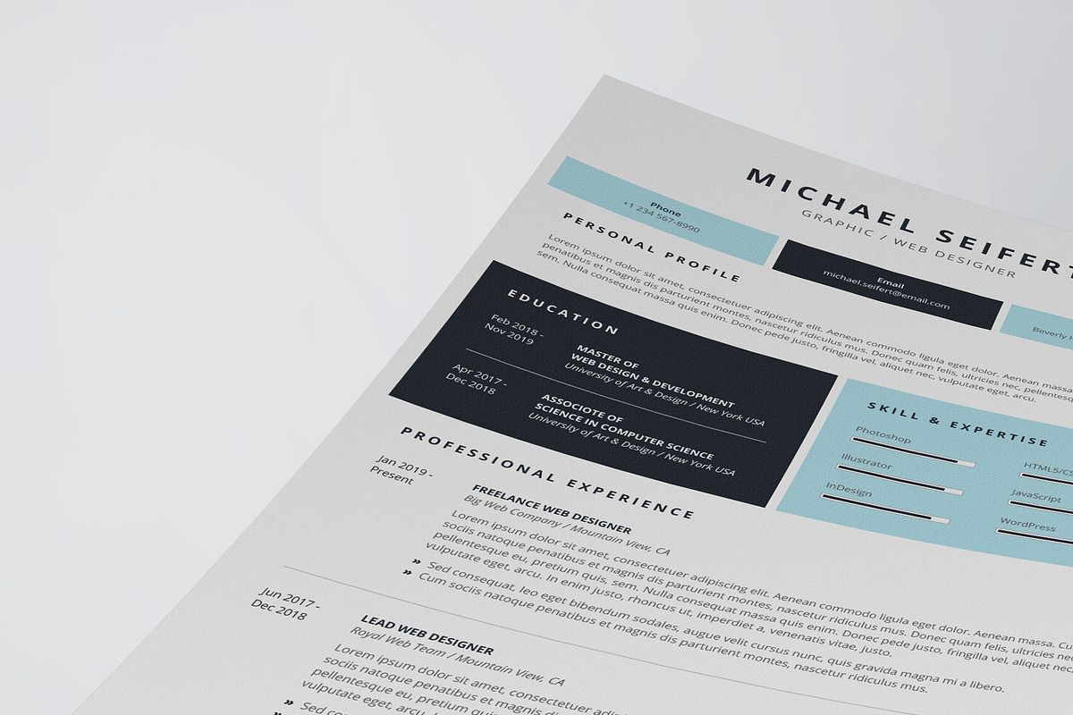 Professional Resume/CV Template, a Resume Template by HueNestify